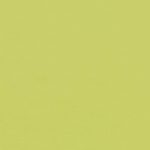 Spring green forbo desktop