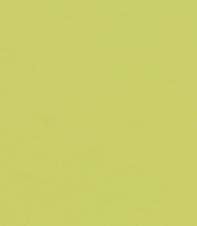 Spring green forbo desktop