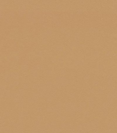 Leather forbo desktop