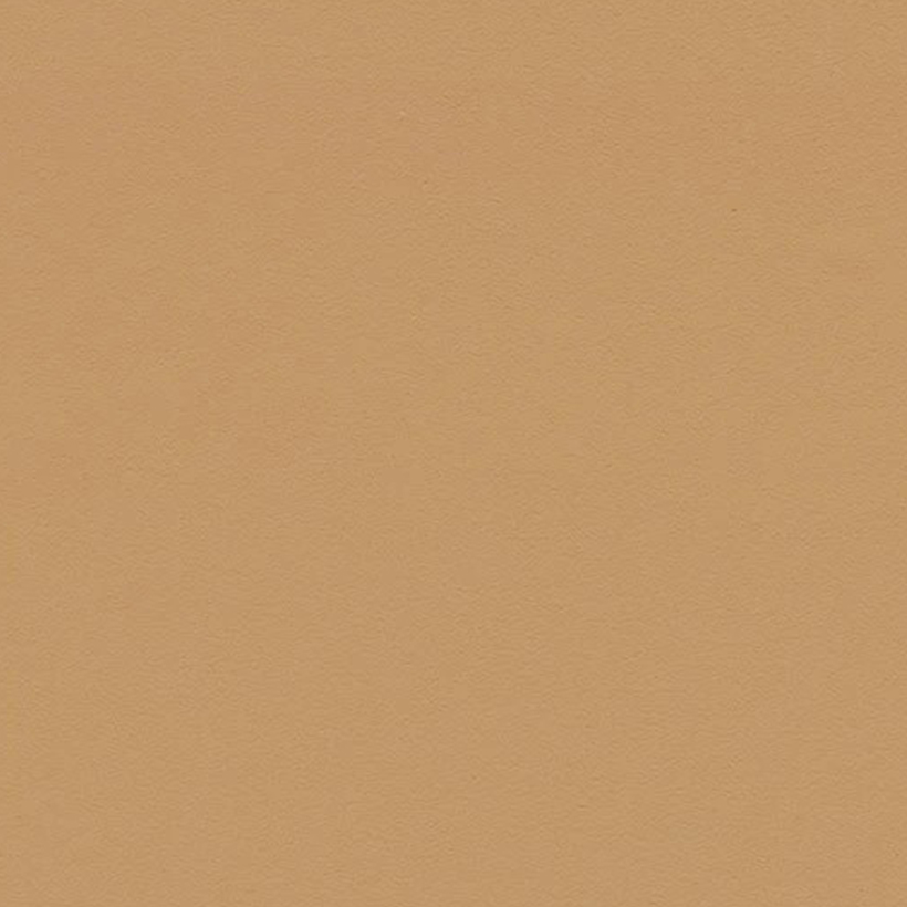 Leather forbo desktop