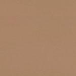 Walnut forbo desktop